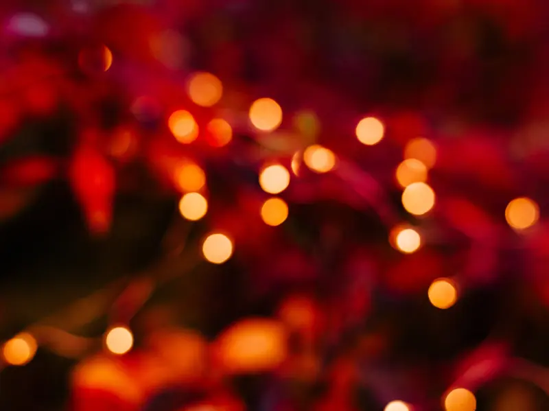 Gemeinderat Ebermannsdorf tagt: Wichtige Sitzung am 17. November!